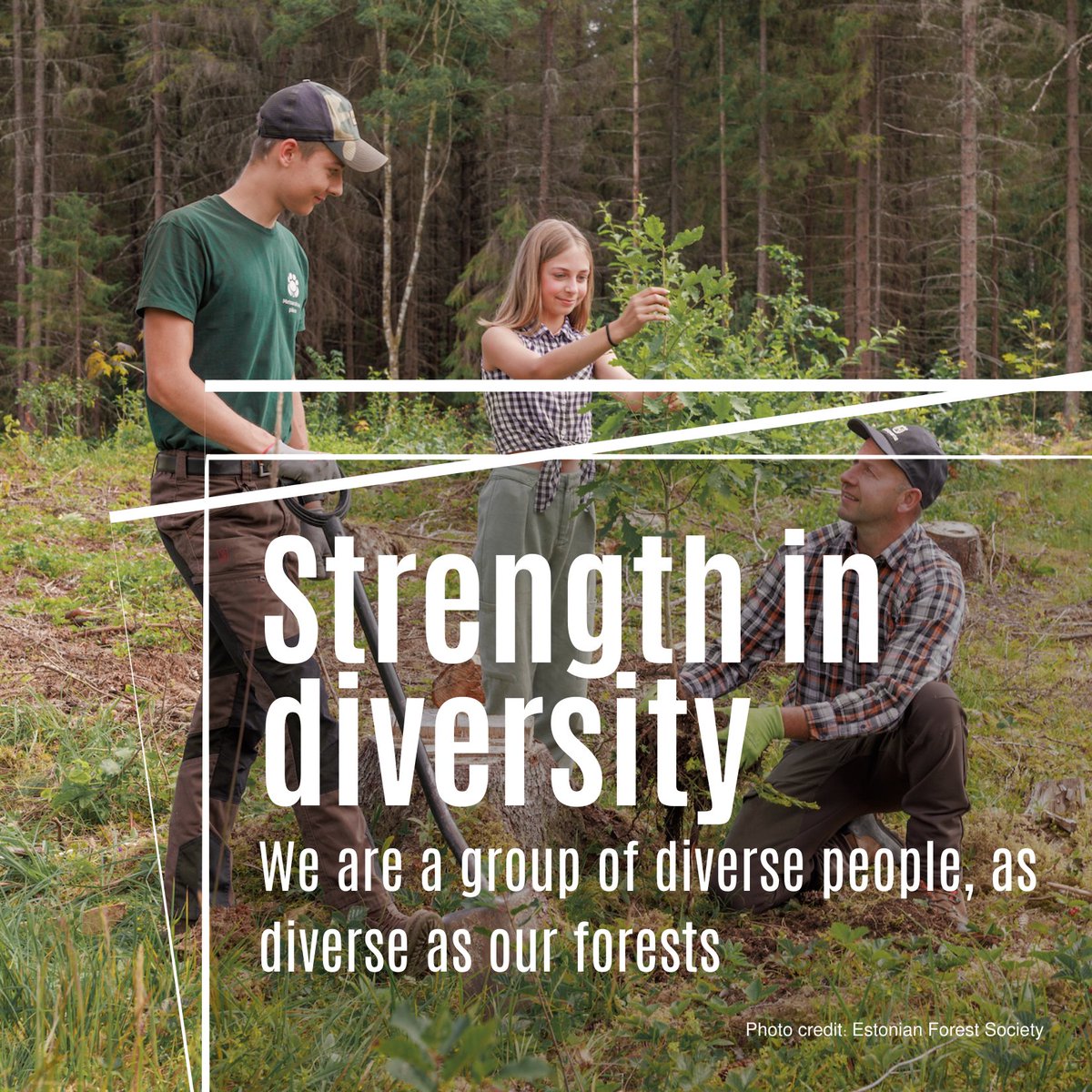 EuropeanForestOwners tweet media