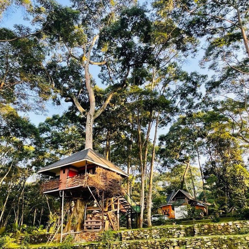 'Escape to the enchanting tree house on Kalangala Island 🌳🌴✨ A sanctuary of dreams and African empowerment 🌍💪 #ForeignDaddy #PanAfricanism #AfricaAgenda2063 #TourismRevolution #EmpoweringAfrica #TreeHouseParadise'