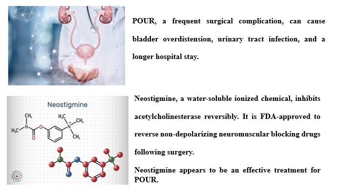 Ahead of print Neostigmine for postoperative surgical urine retention: A systematic review and meta-analysis advances.umw.edu.pl/en/ahead-of-pr…