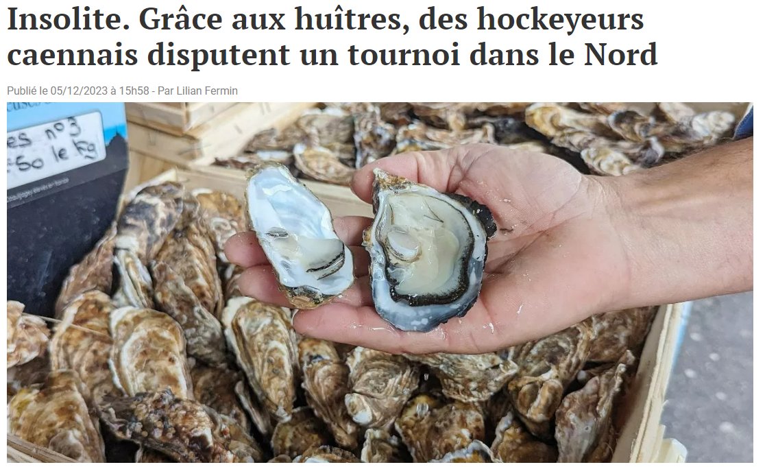 j'y connais rien mais ça aurait pas été mieux avec des palets ?