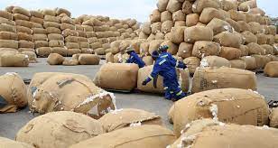 In an effort to boost production in cotton sector, AMA, as regulator, has set up demo plots in eight provinces. The plots play crucial role in disseminating knowledge and best practices in agric, as well as promoting sustainable &amp; efficient farming methods.