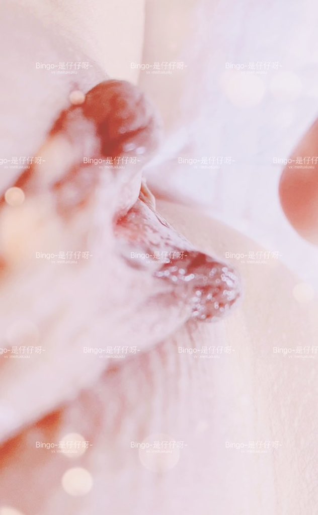 媒体预览