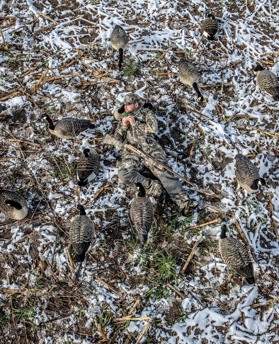 Solo mission before the 9-5. ⁠
⁠
#NomadOutdoor I #GearThatHunts