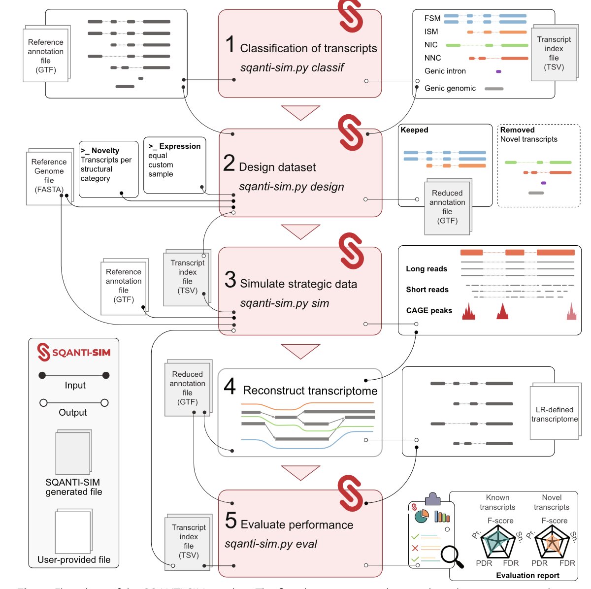 See the latest work from the @Conesa_Lab published in @GenomeBiology. SQANTI-SIM simulates long-read transcriptomics data with realistic novel isoforms and orthogonal datasets, to evaluate novel transcript discovery using long-reads. @PacBio @nanopore tinyurl.com/3c4nxxta