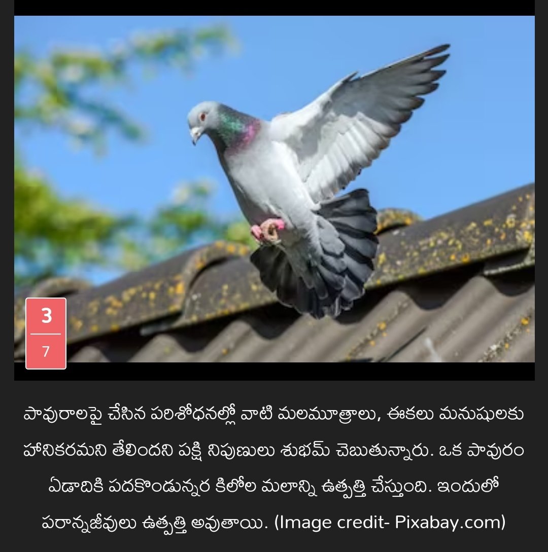 raghotham1_p's tweet image. 