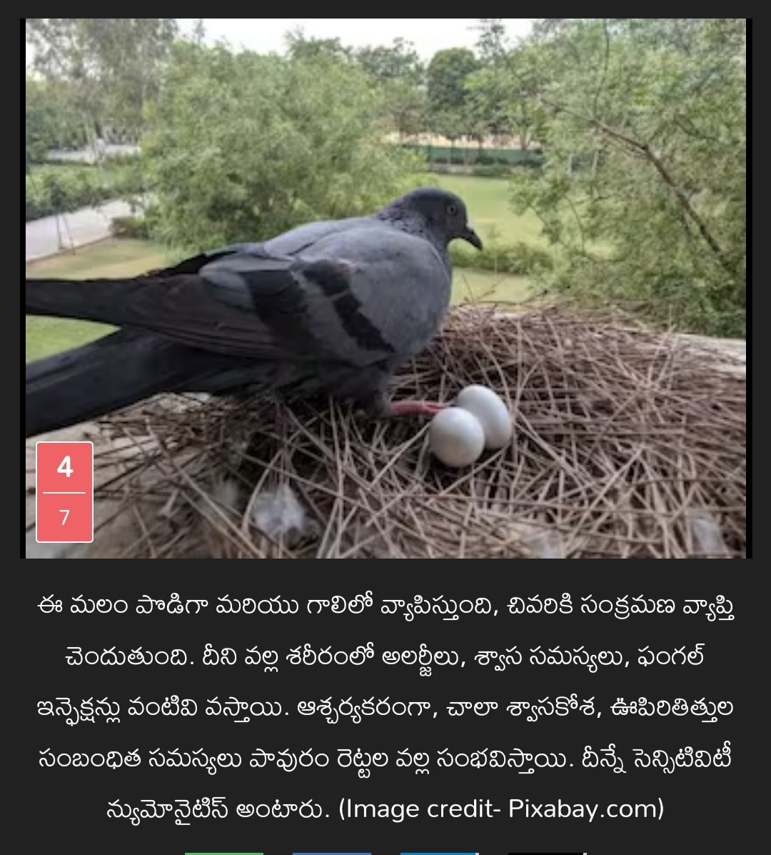 raghotham1_p's tweet image. 