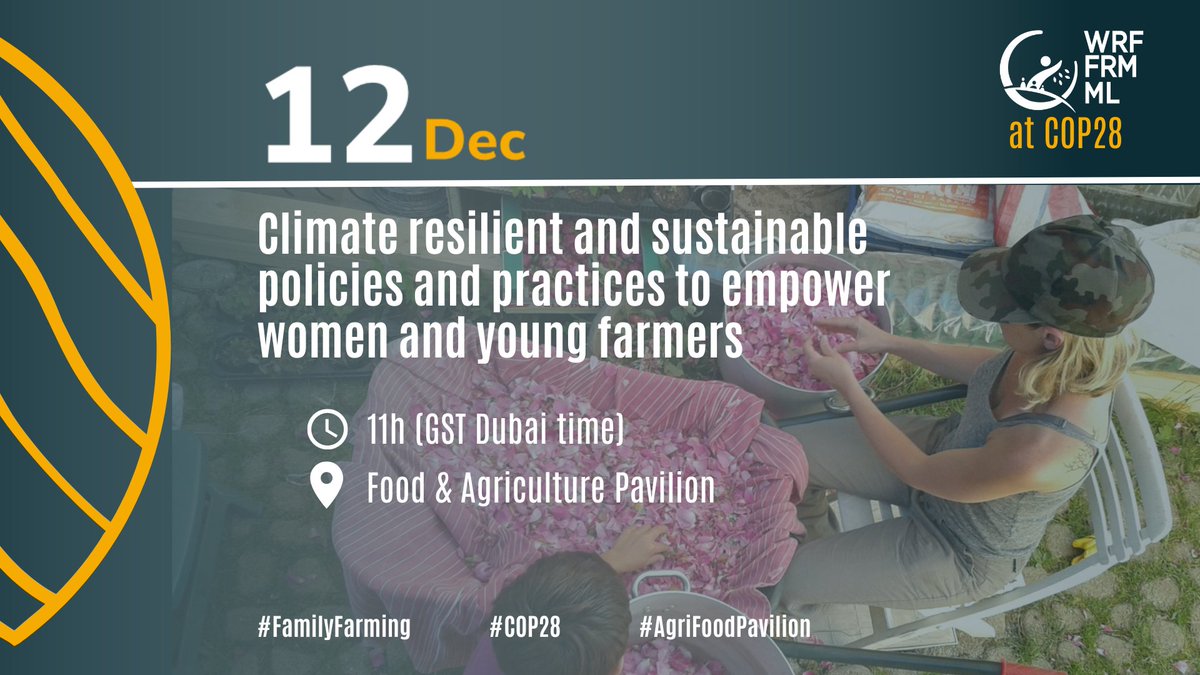 🌳#FamilyFarmingDecade devotes special attention to the importance of sustainable practices with innovative and fresh perspectives brought by #young farmers. #Tomorrow, last day at #COP28 , join us livestream! ⤵️ youtube.com/watch?v=lsfVRR… #WRFatCOP28 #FamilyFarming