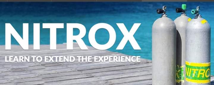 NarcosisScubaCe's tweet image. #Extendtheexperience @NarcosisScubaCe #learnnitrox #takeaclass #Tarponspringsfl #takeaclass Narcosisscuba.com