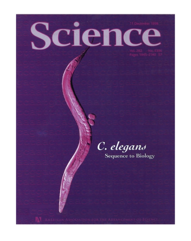 🎉On this day, 25 years ago, the first complete animal genome sequenced was published in Science.

25 years later, this nematode is still a pioneer in many scientific fields.

Long life to #Celegans research!