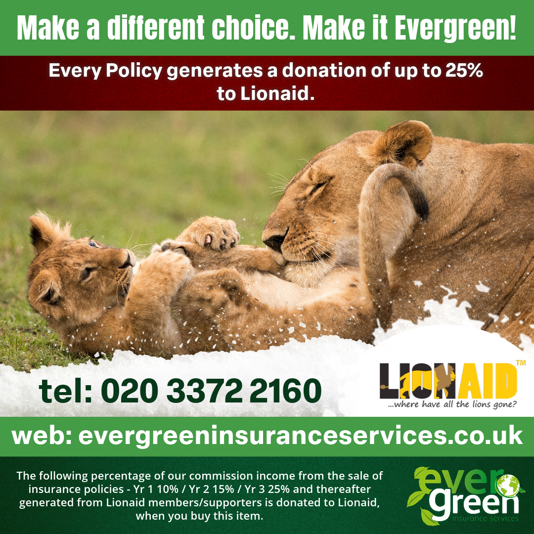 🦁🌿 Embrace the call of the wild with Evergreen Insurance Services! 🤝💙 Explore our partnership with @LionAid , where up to 25% of our commission roars in support of their crucial mission to protect lions. Join us in safeguarding the kings of the jungle! 🌍 #LionAidConservation