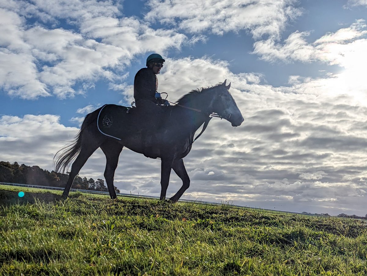 Quest Thoroughbreds Ltd. (@qthoroughbreds) on Twitter photo Mart heads to <a href="/LingfieldPark/">Lingfield Park</a> on a hat-trick this Wednesday for <a href="/dylancunha_uk/">Dylan Cunha Racing LTD</a>, and <a href="/harryburns60/">Harry Burns</a>. 🤞 Mart heads to <a href="/LingfieldPark/">Lingfield Park</a> on a hat-trick this Wednesday for <a href="/dylancunha_uk/">Dylan Cunha Racing LTD</a>, and <a href="/harryburns60/">Harry Burns</a>. 🤞