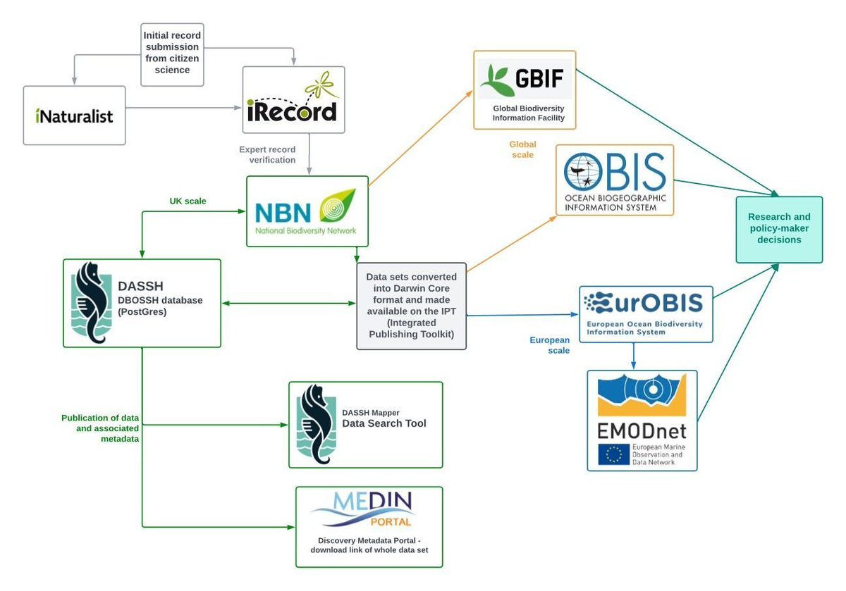 Ever wondered how our #Data is used?

Data sets are passed on to various aggregators of the larger marine/biodiversity data world and used by researchers and policy makers globally! 🐟 🐟 🐟 

#MarineData #MarineBiodiversity #OceanData #OceanBiodiversity