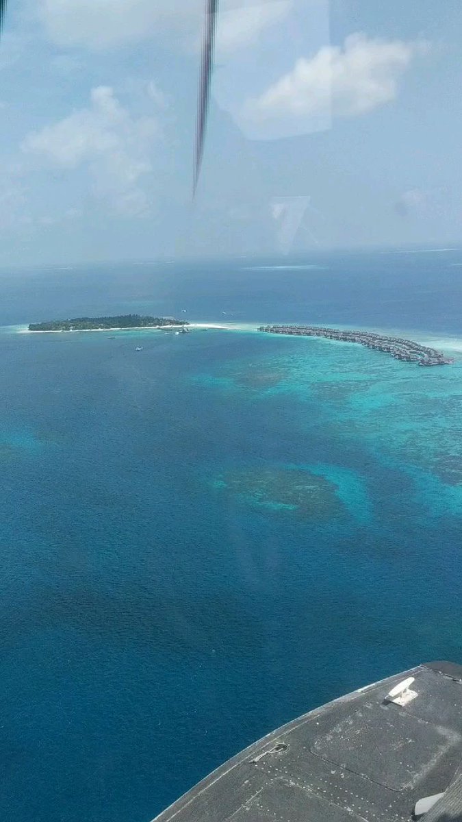 Neaseyreigh (@neaseyreig2816) on Twitter photo 