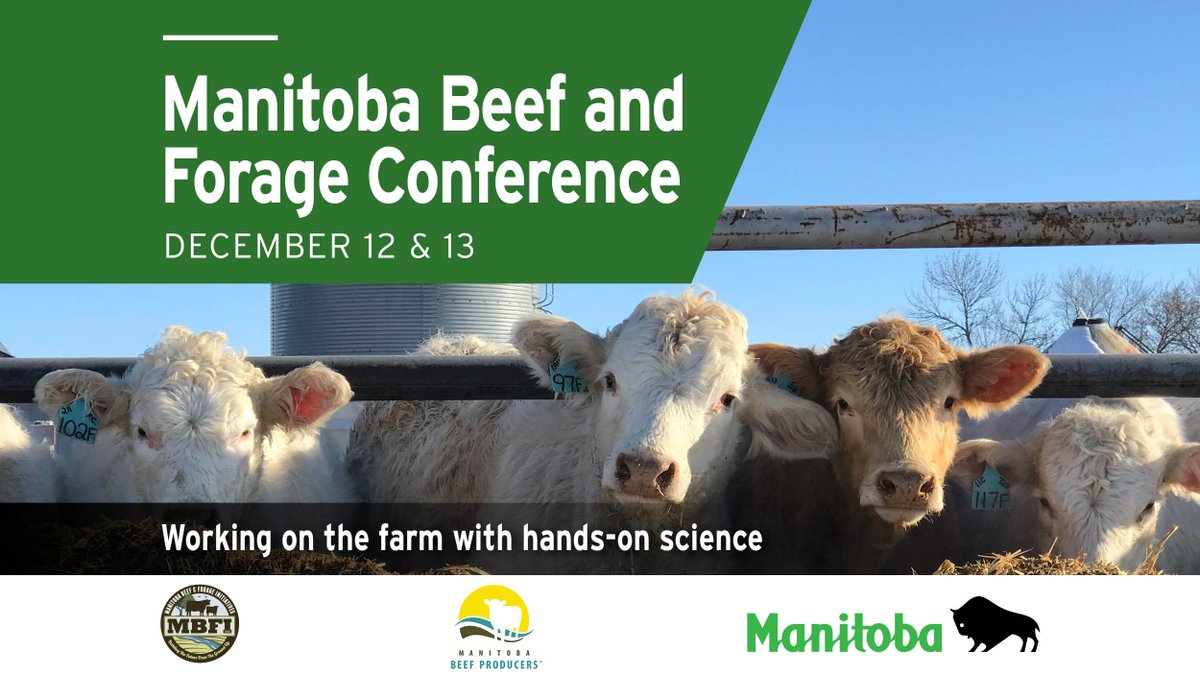 We can't wait to see everyone at the #MBBeefandForageProductionConference tomorrow! For more details and to register, visit bit.ly/43RrtrE. <a href="/ManitobaBeef/">Manitoba Beef Producers</a> <a href="/MBBeefandForage/">Manitoba Beef & Forage Initiatives</a>