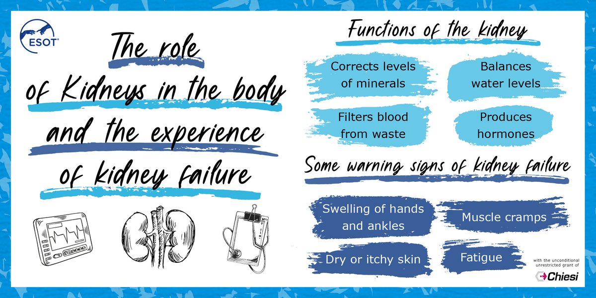 Kidneys are essential organs as they create a special filter for the body. So when they stop functioning the filter stops working. Prolonged (end stage) kidney failure requires the patient to go on dialysis and possibly the need for a transplant #take2 #PoweredBy @ESOTtransplant