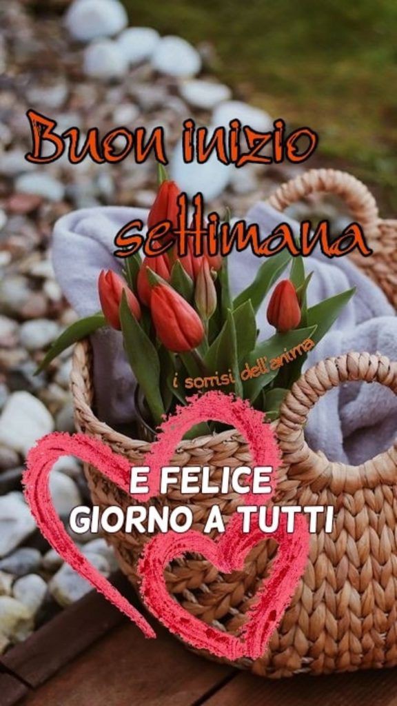 @meri_minia84547 Buon pomeriggio a te grazie 😘