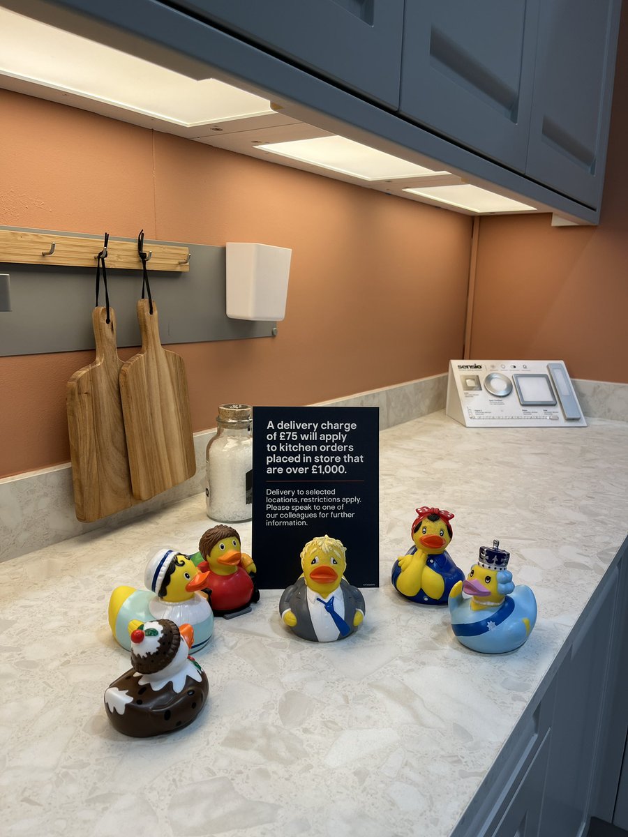 hintondm's tweet photo. Some of the #Ducktastic flock went for a visit to Northampton @BandQ to meet Tom and tour the kitchens, enjoy a #DuckBuilding event and talk sense into @BorisJohnson duck. https://t.co/sBrKnIa1Kj