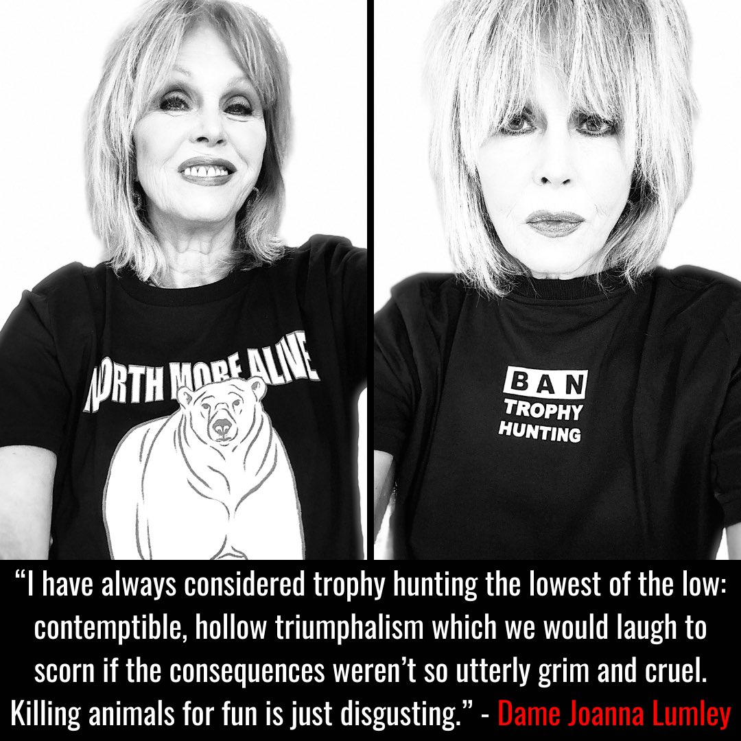 Dame Joanna Lumley supports the Campaign to Ban Trophy Hunting. Join Joanna today & help us to ensure a future where animals aren’t killed needlessly for a trophy. Donate at bantrophyhunting.org/donations/dona… Or shop for Xmas gifts at campaigntobantrophyhuntingstore.com #BanTrophyHunting