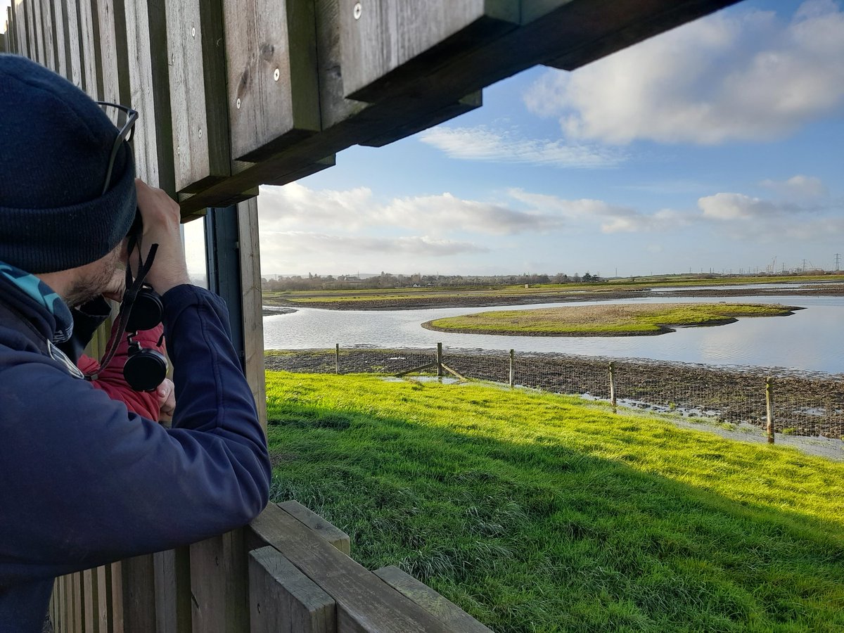 Fabulous day @WWTSteart today. A few thousand birds in this view, golden plover, lapwing, wigeon, teal and spoonbills! What a day, thank you team for everything you do.