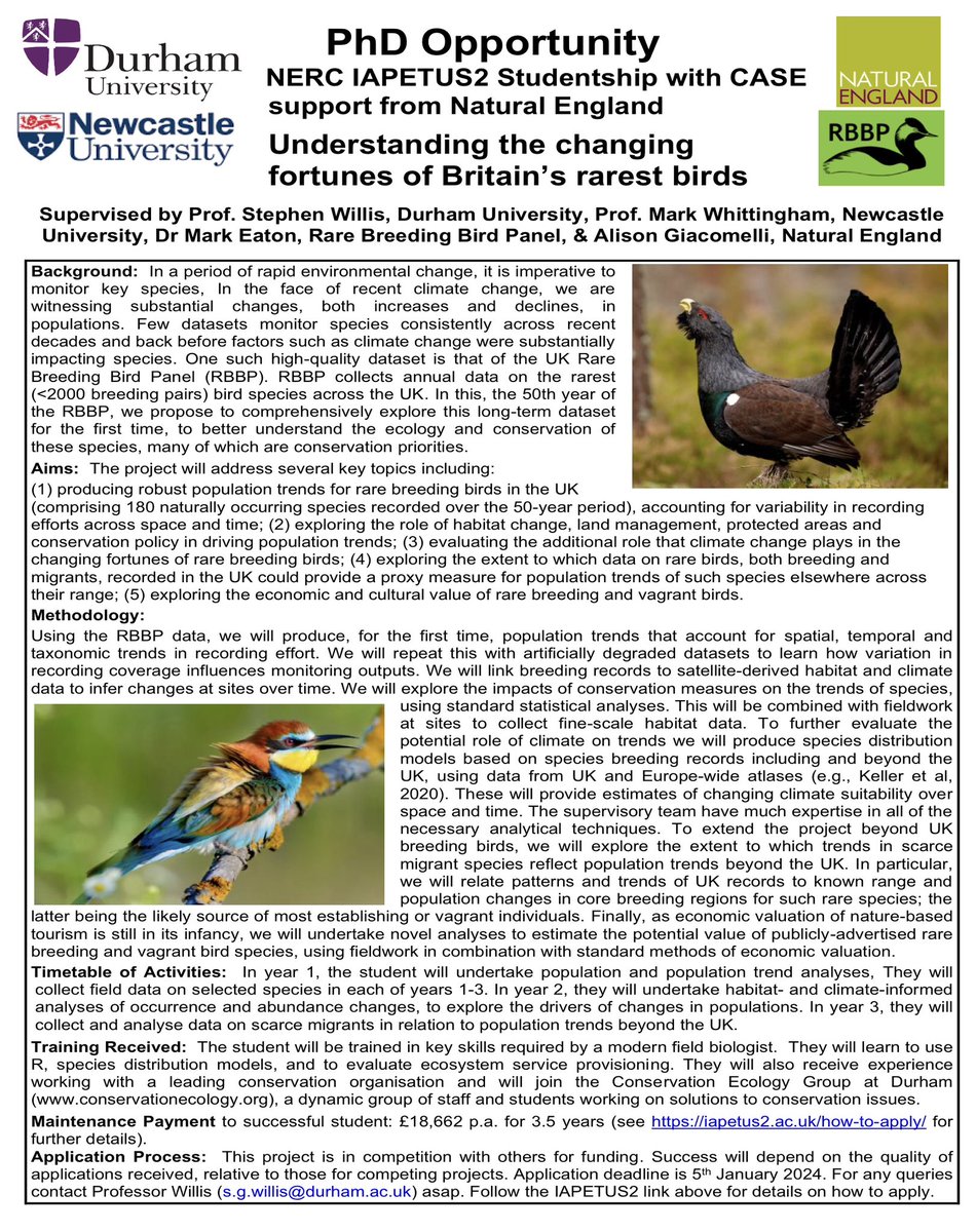 Possible dream PhD for ecologist/ornithologist/conservation biologist interested in rare species populations and their conservation? Working with @NaturalEngland and @ukrbbp. Plus some great fieldwork opportunities. See below and tinyurl.com/sbydbpdw for application details