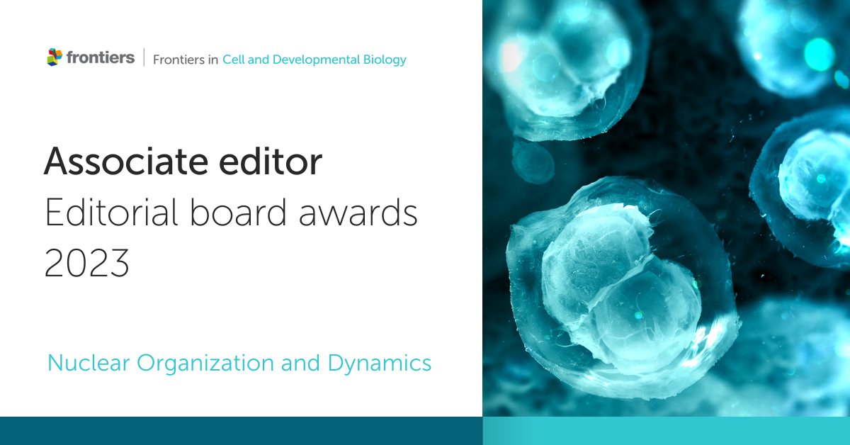 Frontiers - Cell Biology (@frontcelldevbio) on Twitter photo šCongratulations to Dr Joanna Bridger <a href="/CenGEM_Brunel/">CenGEM</a> and Dr Kundan Sengupta <a href="/KundanSengupta/">Kundan Sengupta</a> <a href="/CBL_IISER_Pune/">Chromosome Biology Lab</a> <a href="/IISERPune/">IISER Pune</a>, winners of the Nuclear Organization and Dynamics Editorial Board Awards 2023 - Associate Editor
Thank you for your invaluable support!
#CellDevBio #EBawards šCongratulations to Dr Joanna Bridger <a href="/CenGEM_Brunel/">CenGEM</a> and Dr Kundan Sengupta <a href="/KundanSengupta/">Kundan Sengupta</a> <a href="/CBL_IISER_Pune/">Chromosome Biology Lab</a> <a href="/IISERPune/">IISER Pune</a>, winners of the Nuclear Organization and Dynamics Editorial Board Awards 2023 - Associate Editor
Thank you for your invaluable support!
#CellDevBio #EBawards