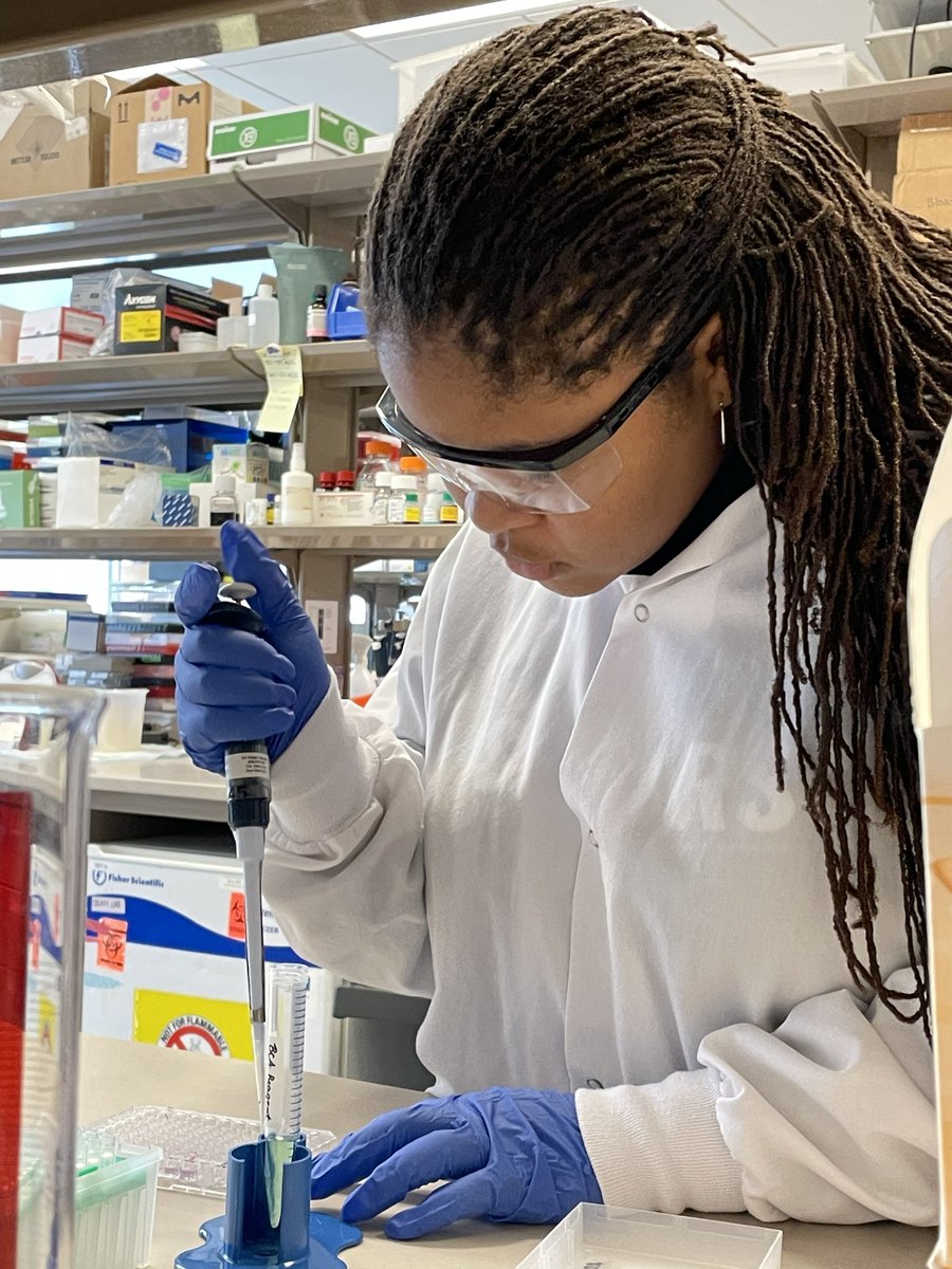 Friends Select tweet media