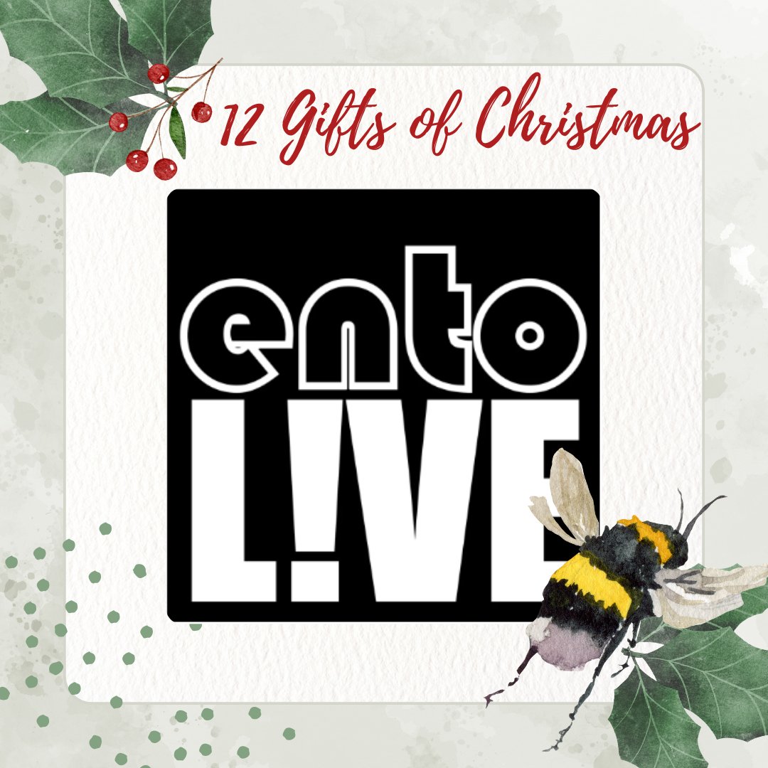 Day 1: entoLIVE! We have partnered with @KeironDBrown to bring you lots of webinars in 2024 in the entoLIVE webinar series! Join us for talks by our staff and Steering Group on bee hotels, ecosystem services, mini-meadows and heatwaves! eventbrite.com/cc/entolive-we… @DaveGoulson