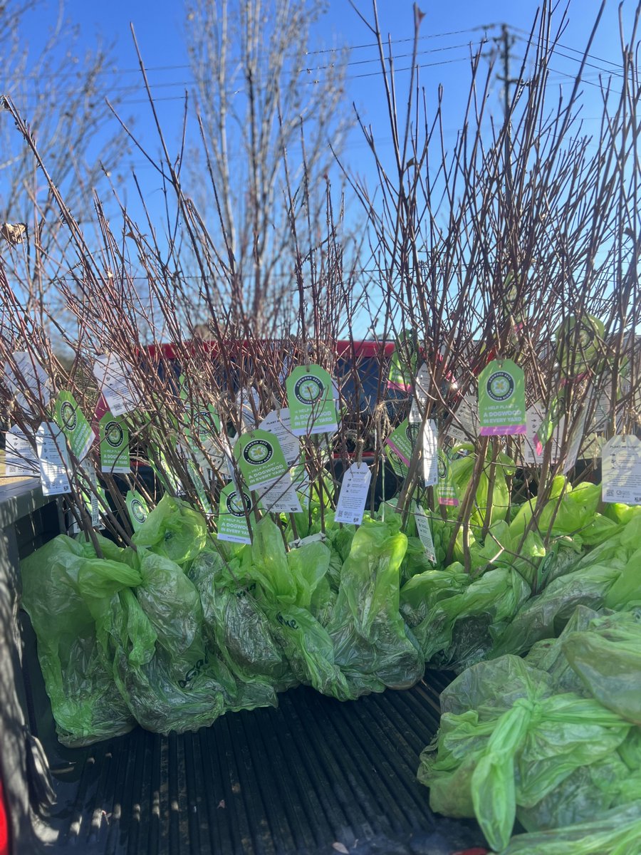 🌳 Thanks to everyone who supported our Rooted in Community campaign with @dogwoodarts! We can't wait to see East Tennessee in bloom this spring. 🌸

#RootedInCommunity #DogwoodArts #REALTORSAreGoodNeighbors #ENTRCares