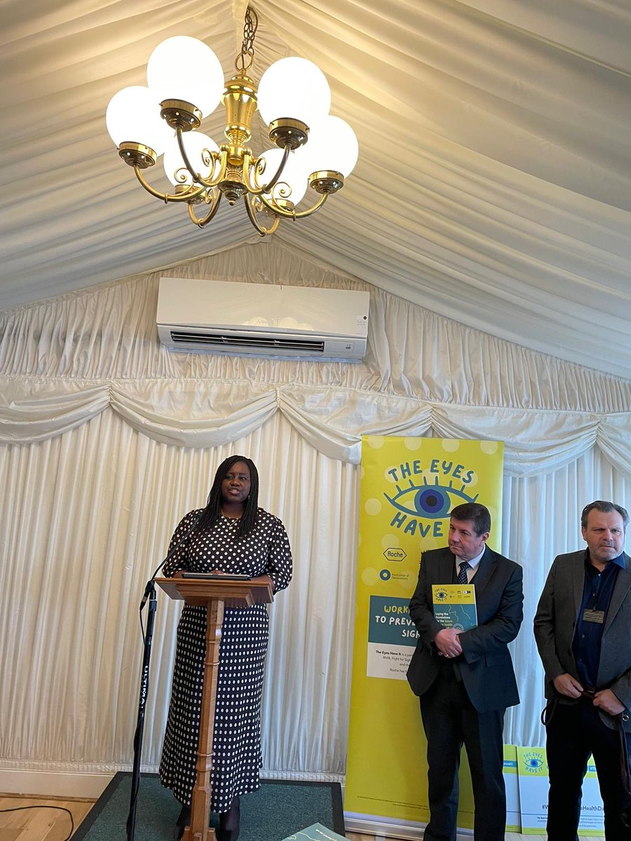 We’re delighted to be partnering with The Eyes Have It once again for this year’s Westminster Eye Health Day.

A welcome opportunity to advocate for eye health and drive policy change to prevent avoidable sight loss.

@fightforsight @MacularSociety @RNIB @RCOphth @Roche