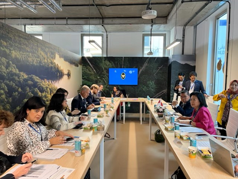 Pleased to join roundtable on G20 Bali Global Blended Finance Alliance at #COP28 chaired by @Mari_Pangestu, Special Envoy of GBFA. Alliance aims to mobilize financing for climate action thru pub-pvt partnerships.