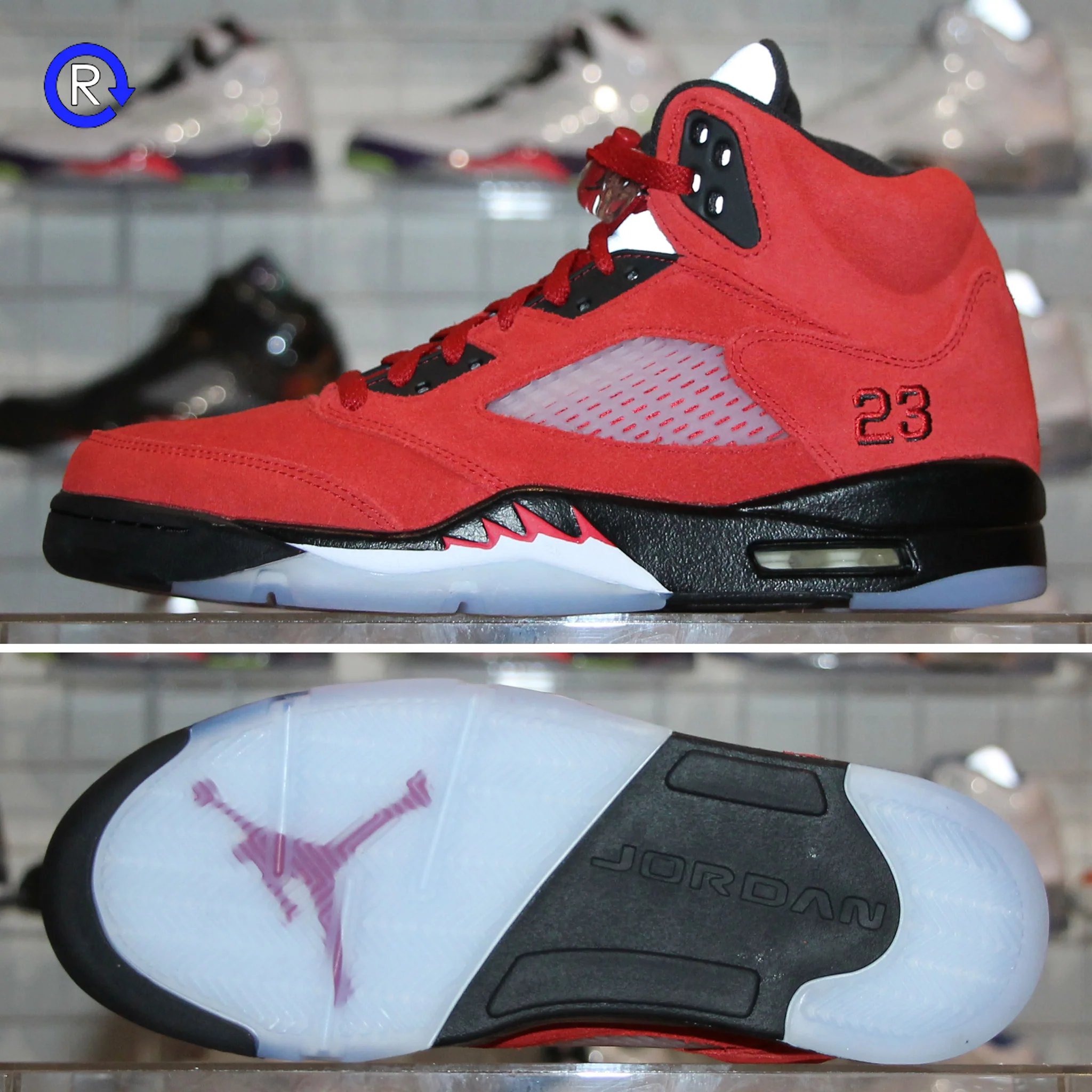 Jordan sales bull 12