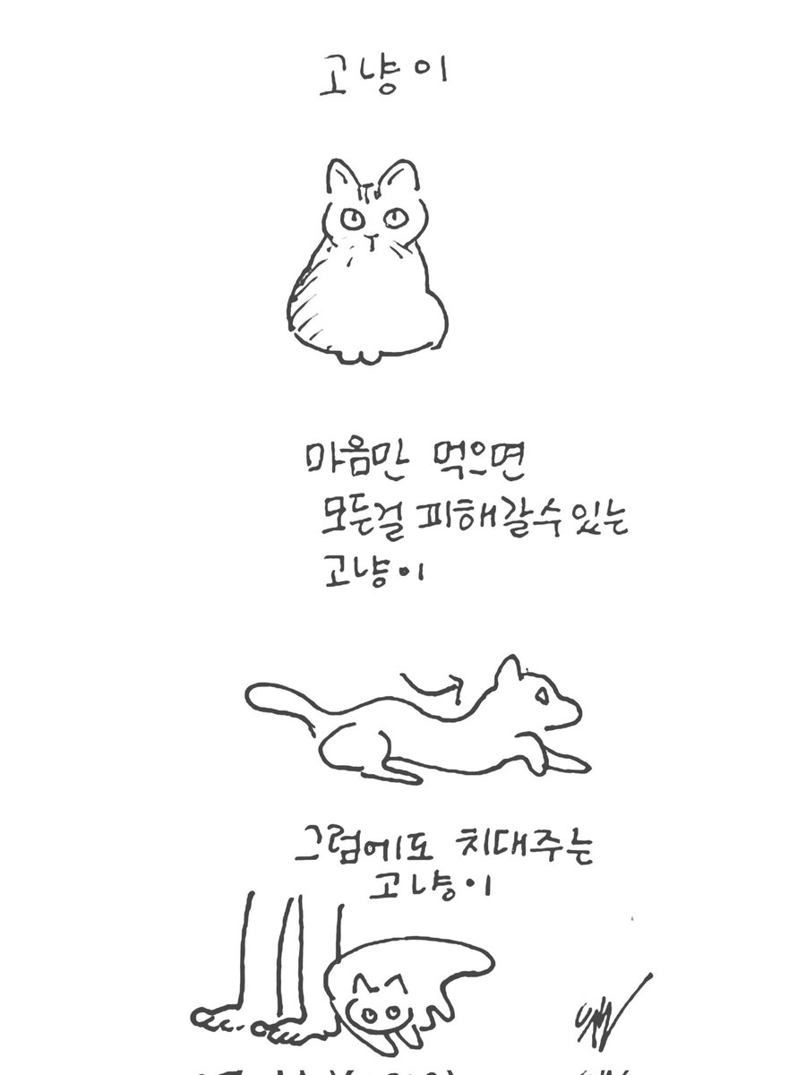고냥이
