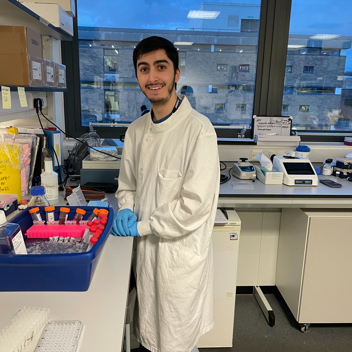Dr Lucy Jackson-Jones (@lucyhjackson_j) on Twitter photo A (very) belated Welcome to <a href="/IvoQueijo/">Ivo Queijo</a> who started his Masters by Research <a href="/JacksonJonesLab/">Jackson-Jones Lab</a> in October. Ivo is investigating the relevance of chemokine source during inflammation within the pleural cavity. Exciting data on the way! 🔬 A (very) belated Welcome to <a href="/IvoQueijo/">Ivo Queijo</a> who started his Masters by Research <a href="/JacksonJonesLab/">Jackson-Jones Lab</a> in October. Ivo is investigating the relevance of chemokine source during inflammation within the pleural cavity. Exciting data on the way! 🔬