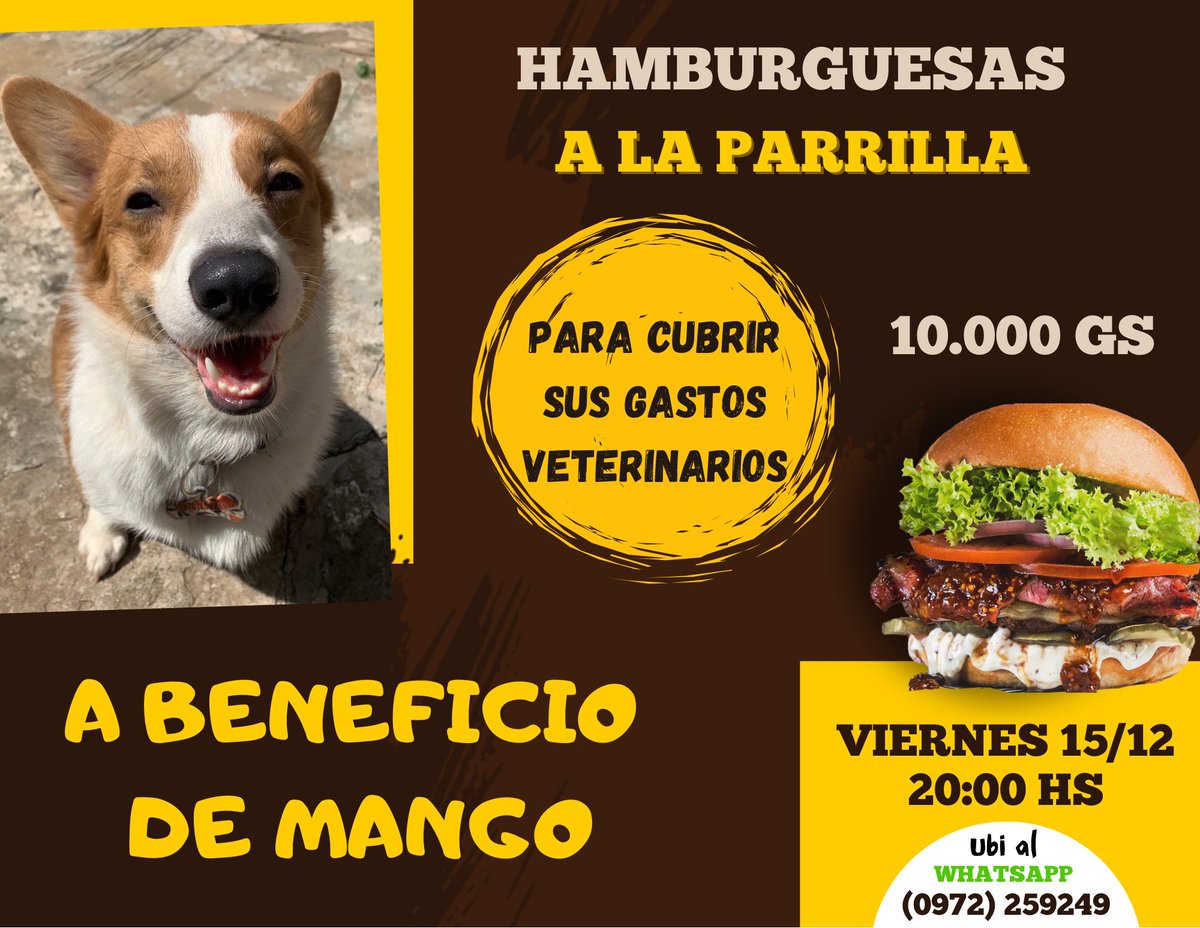 biancazena's tweet photo. Hola Humanos soy Manguito 🥭 en estos días se me detectó una enfermedad llamada leishmaniasis 😪 gracias a Dios ya estoy en tratamiento y voy a tener una vida normal! Mi mami está organizando una hamburgueseada para cubrir los gastos del tratamiento ya que es muy costoso. https://t.co/TMw8fUc97W