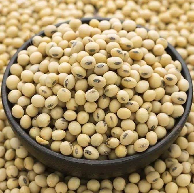 Soya beans: a versatile and nutritious ingredient that adds a healthy punch to any meal. The legume is packed with proteins, fiber and essential minerals. 

A niche for livestock scientists, is  its sustainable alternative to animal-based products.  #sustainability

You like it⁉️