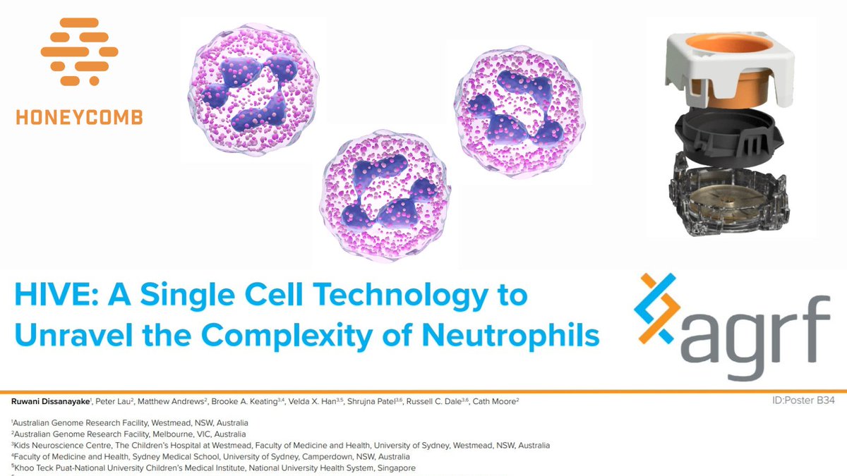 Honeycomb Biotechnologies tweet media
