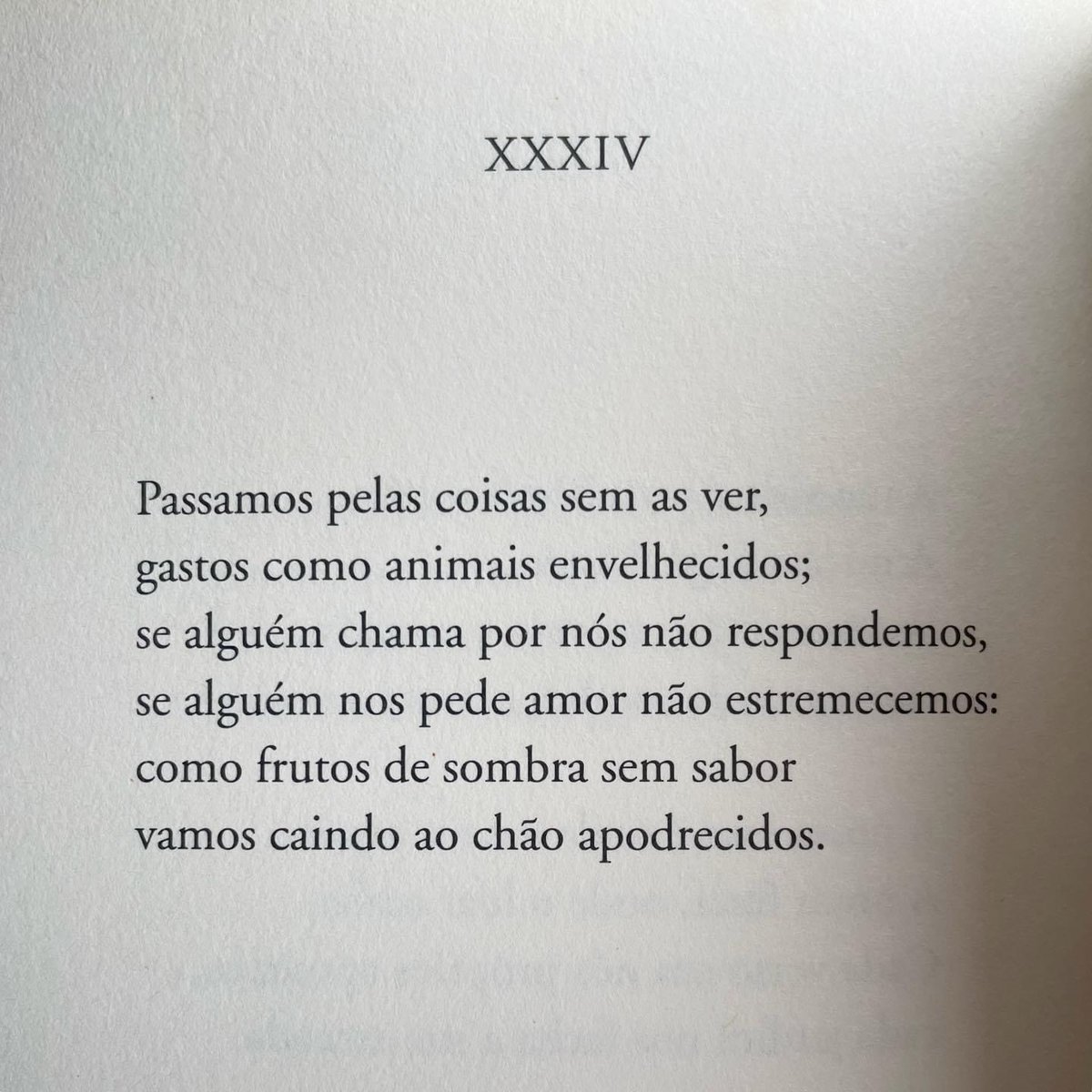 Eugénio de Andrade
“Primeiros Poemas - As Mãos e os Frutos - Os Amantes sem Dinheiro”
(ed. Assírio &amp; Alvim)