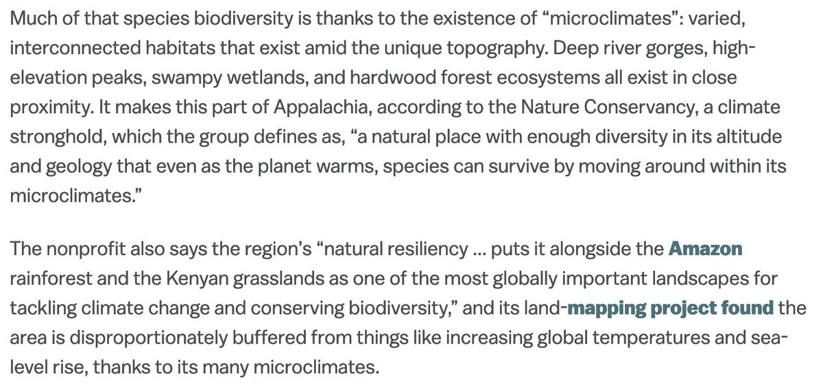 eve andrews tweet media