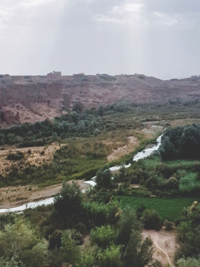 ✍️💭 Kelaa M’Gouna : floraison, résilience et sagesse climatique 📌@openchabab @Etlettres 🌐👉 Retrouvez l’article complet enass.ma/2023/12/11/kel… #ENASS #changement_climatique #Cop_28 #Atlas #mediadessansvoix #Maroc