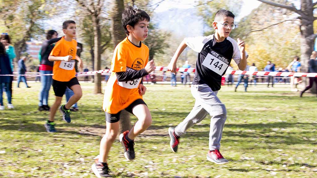 🏃‍♀️🏃‍♂️ L'ATE prepara la vuitena edició del Cros Ciutat de Tortosa

▶ LA NOTÍCIA: ebresports.cat/late-prepara-l…

<a href="/esportsURV/">Esports URV</a> <a href="/esportcat/">Esports</a> <a href="/UCECcat/">Consells Esportius de Catalunya</a> <a href="/ToniGilabert1/">Toni Gilabert</a> <a href="/esportcat/">Esports</a> <a href="/JoanBarbera7/">joanbarbera</a> <a href="/jaumedomingo/">💛Jaume Domingo💛</a> <a href="/Tortosa/">Ajuntament de Tortosa</a> <a href="/JordiJordanEbre/">Jordi Jordan</a> <a href="/vgraufe/">Víctor Grau Ferrer/❤️</a> #Tortosa #TerresdelEbre