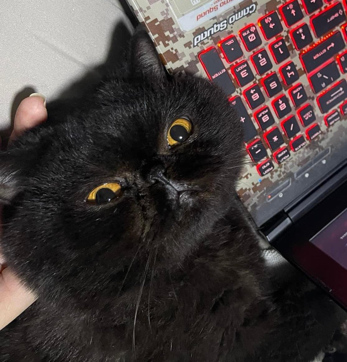 M (@mxartinzq) on Twitter photo 