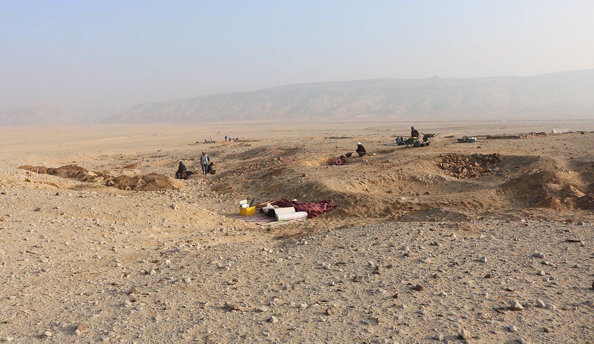 Now out in the Journal of Egyptian Archaeology (&amp; open access): our report on the 2022 season of fieldwork at Amarna. The season included excavations at the Great Aten Temple &amp; North Desert Cemetery, community outreach &amp; more  – journals.sagepub.com/.../10.1177/03…