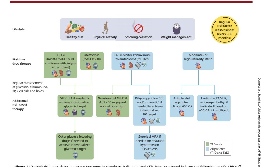 NefroClass tweet media