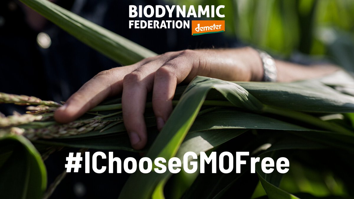 🌍EU Agriculture Ministers take a stand against #newGMOs deregulation! 🌾Today, Europe’s agriculture ministers opposed the proposal to deregulate #newGMOs, a step in the right direction to protect our #freedom of choice and #Health and #Environment. 👉bit.ly/3Q5WLYk