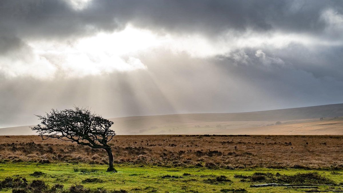 Beautiful crepuscular rays over Cheriton Ridge this afternoon @ExmoorNP @Exmoor4all @ITVCharlieP #sunrays #Exmoor