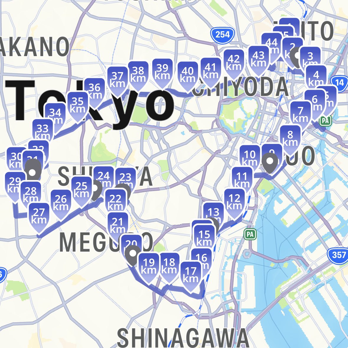 Marathon #229: Tokyo, Japan /// A gorilla reaching for pedestrians 👣🇯🇵🌏 #MarathonEarthChallenge  #WorldByFoot