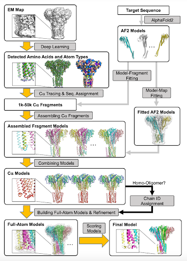 Nature Methods (@naturemethods) on Twitter photo DeepMainmast is a protein structure modeling protocol for cryo-EM that combines the strengths of a deep-learning-based de novo protein main-chain-tracing approach with AlphaFold2-based structure predictions for improved performance. <a href="/GTerashi/">Genki Terashi</a>
doi.org/10.1038/s41592… DeepMainmast is a protein structure modeling protocol for cryo-EM that combines the strengths of a deep-learning-based de novo protein main-chain-tracing approach with AlphaFold2-based structure predictions for improved performance. <a href="/GTerashi/">Genki Terashi</a>
doi.org/10.1038/s41592…