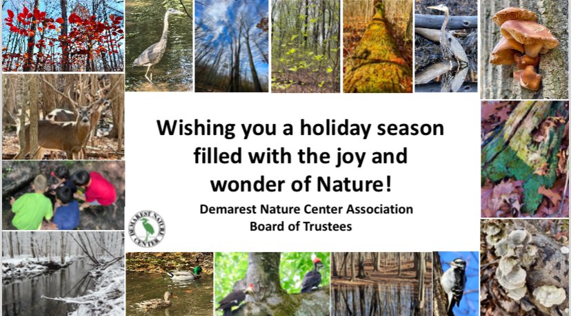 DemarestNature's tweet image. 