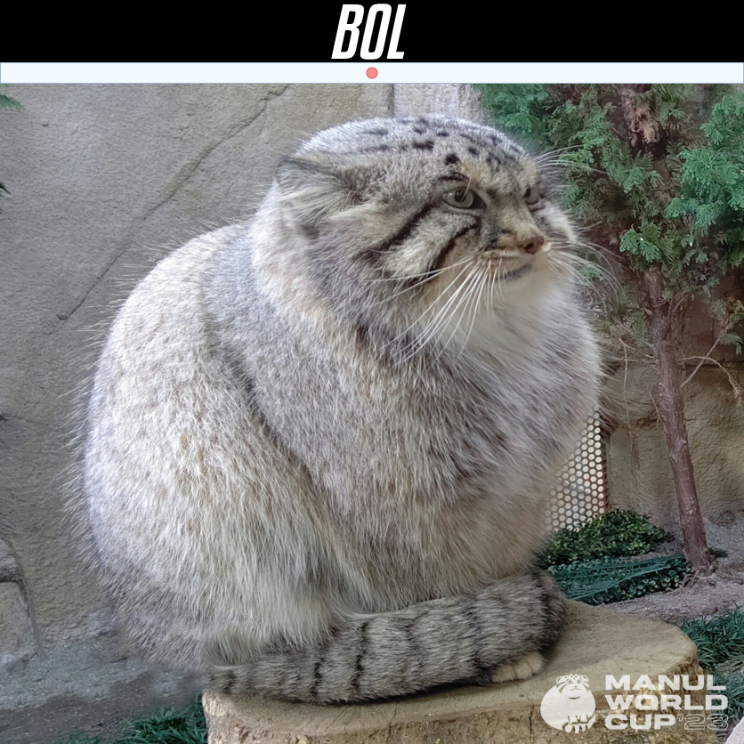 Final - Magellan 🇵🇱 vs Bol 🇯🇵