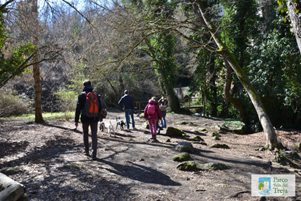 Avviso pubblico visite guidate 2024 <a href="/ParcoTreja/">ParcoValledelTreja</a> shorturl.at/gFJRU